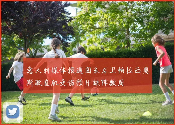 意大利媒体报道国米后卫帕拉西奥斯股直肌受伤预计缺阵数周