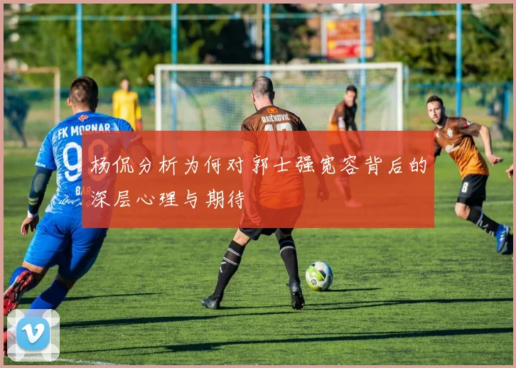 杨侃分析为何对郭士强宽容背后的深层心理与期待