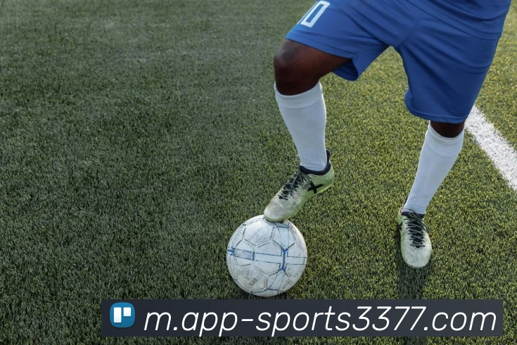 3377体育平台生态图